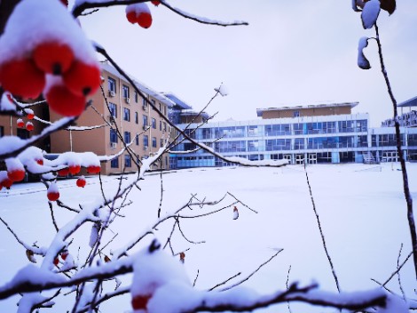 学校雪景之三