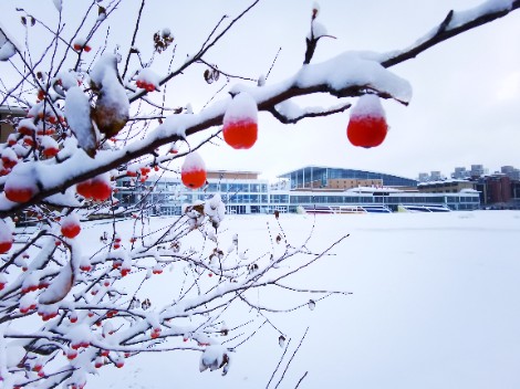 学校雪景之四