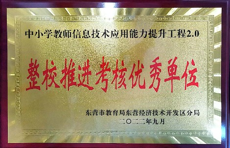 丽景小学巩固提升教师信息技术应用能力提升工程2.0项目成绩