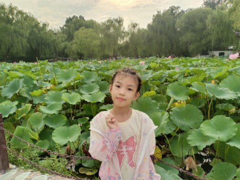 二年级七班行为习惯标兵个人简介——刘恒宇
